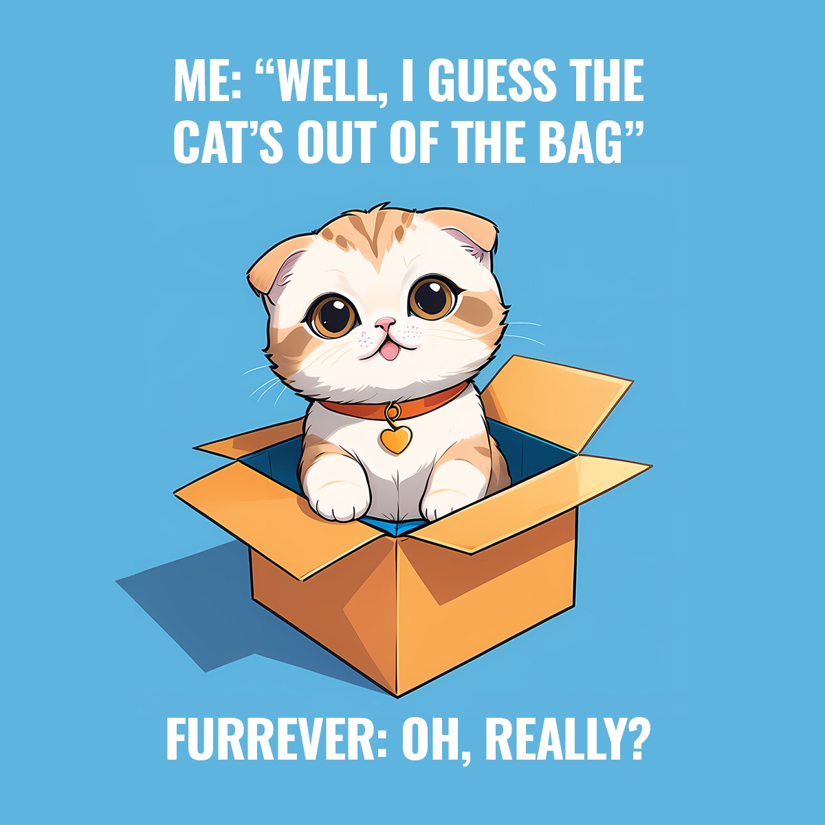 ME: 'WELL, I GUESS THE CAT'S OUT OF THE BAG' FURREVER: OH, REALLY?